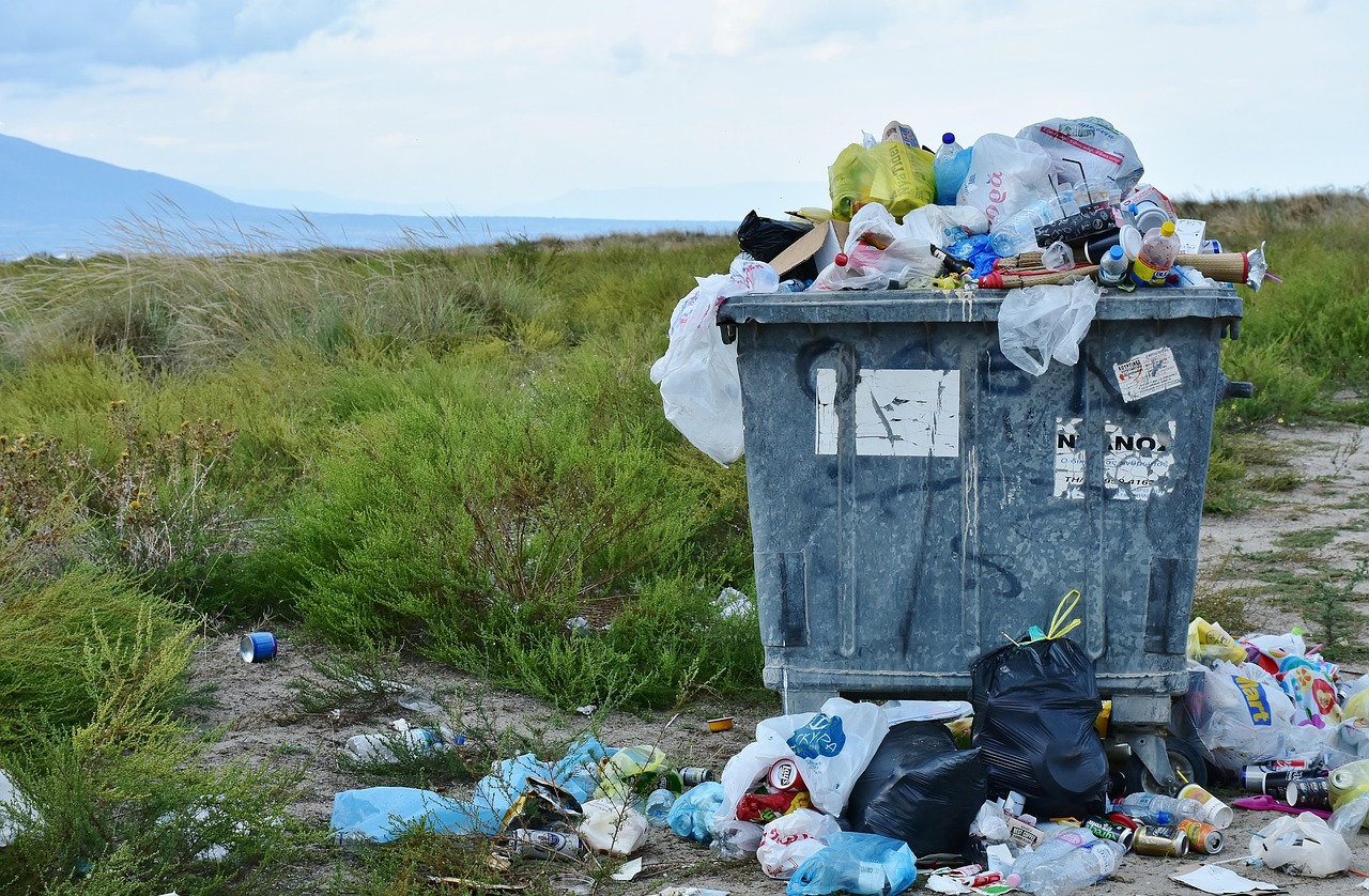un campo verde y en primer plano un cubo de basura lleno y rebosante con bolsas de basura por el suelo