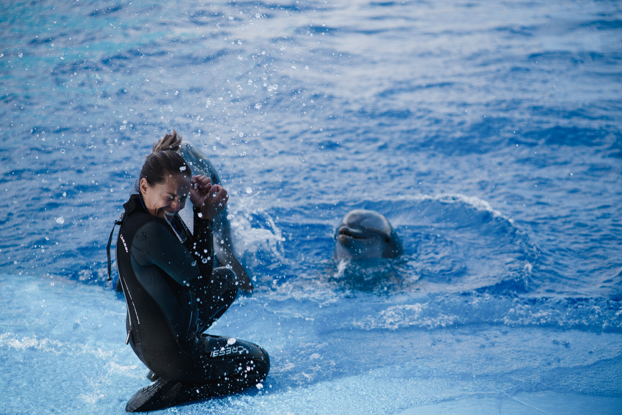 monitora del oceanografic con un delfin