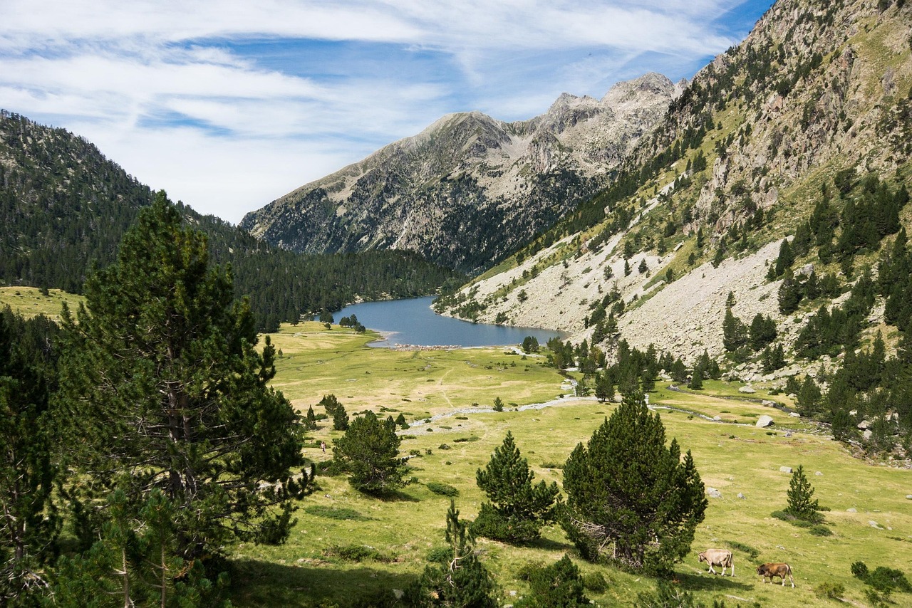 panorámica de pirineos