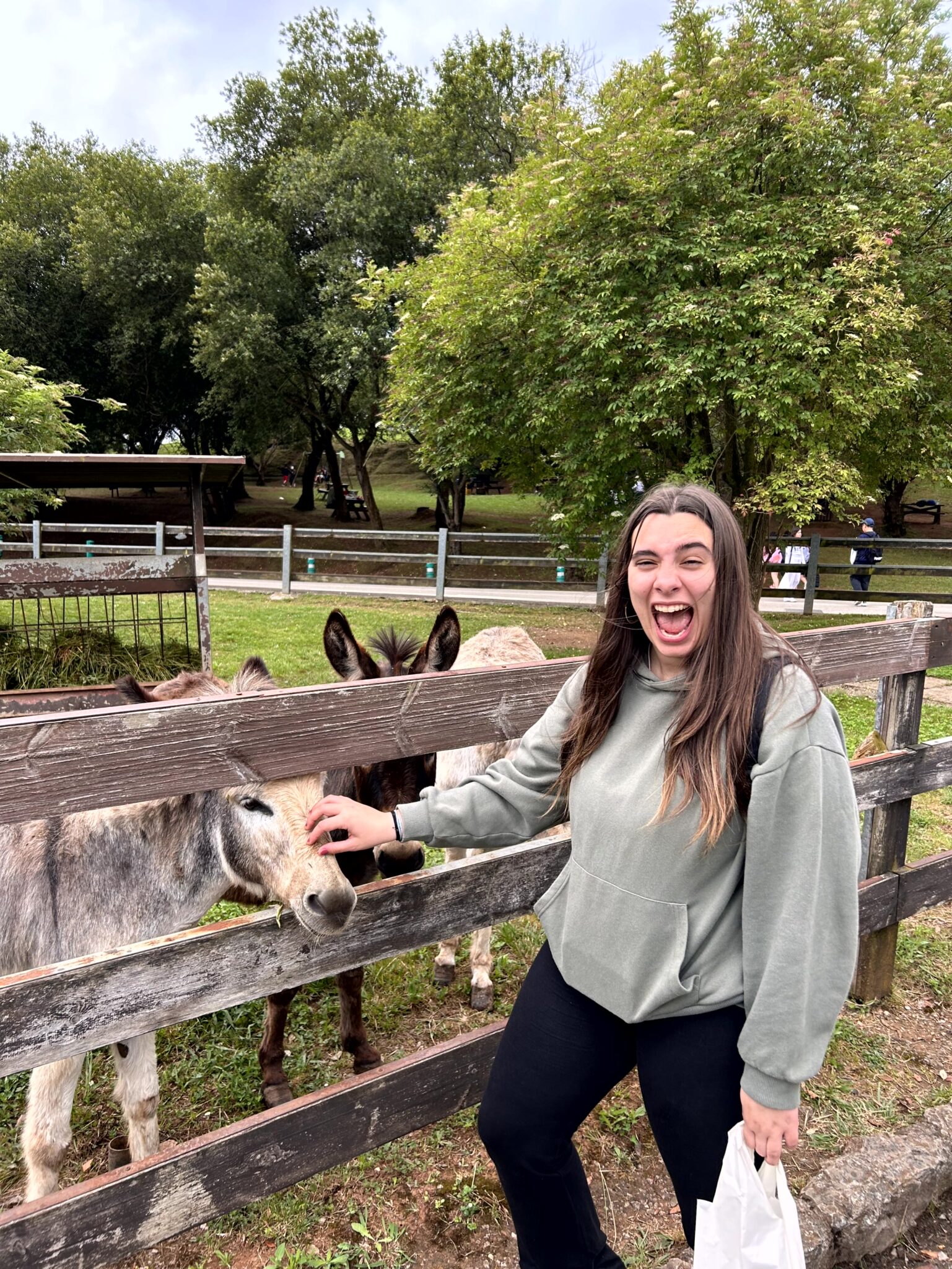 Chica que se ríe alegremente mientras acaricia un burro