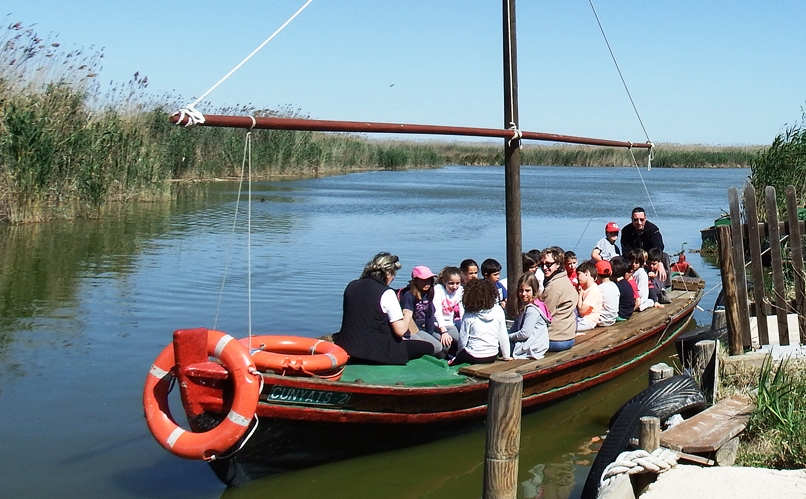 4_razones_para_viajar_a_la_Comunidad_Valenciana_albufera