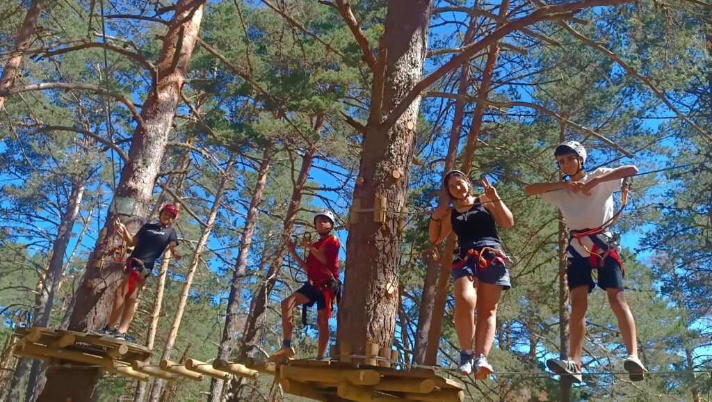 tres chicos y una chica en un circuito entre varios árboles con casco y arneses