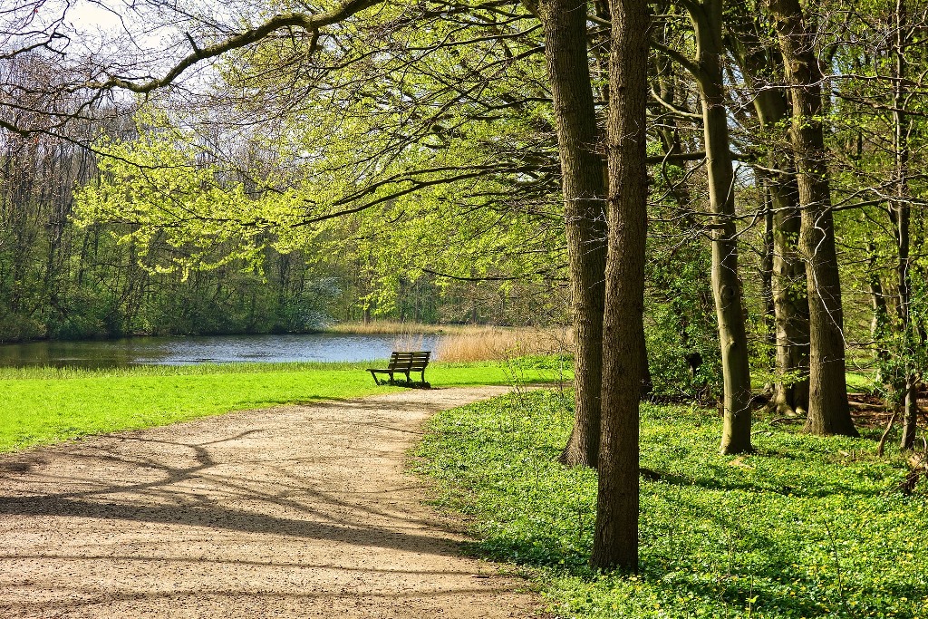 Viaja_por_tu_ciudad_4_razones_para_conocerla_parque