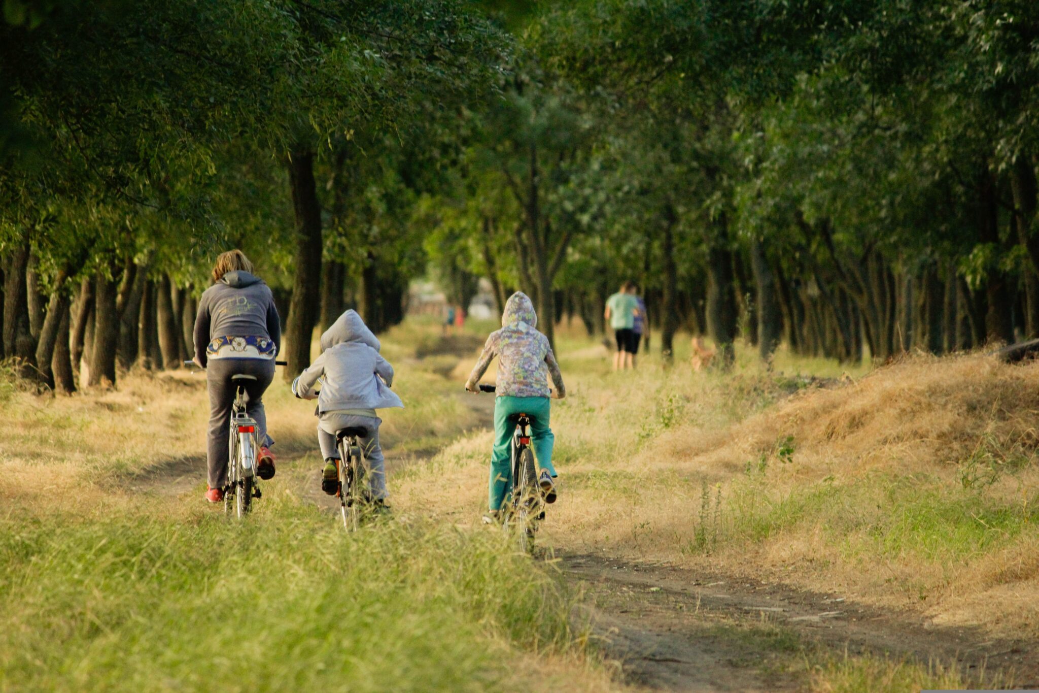 familia dando un paseo en bici por el campo en primavera