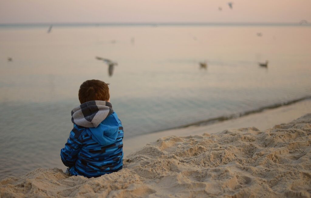 niño pequeño de espaldas con chaqueta azul en una playa al atardecer con gaviotas