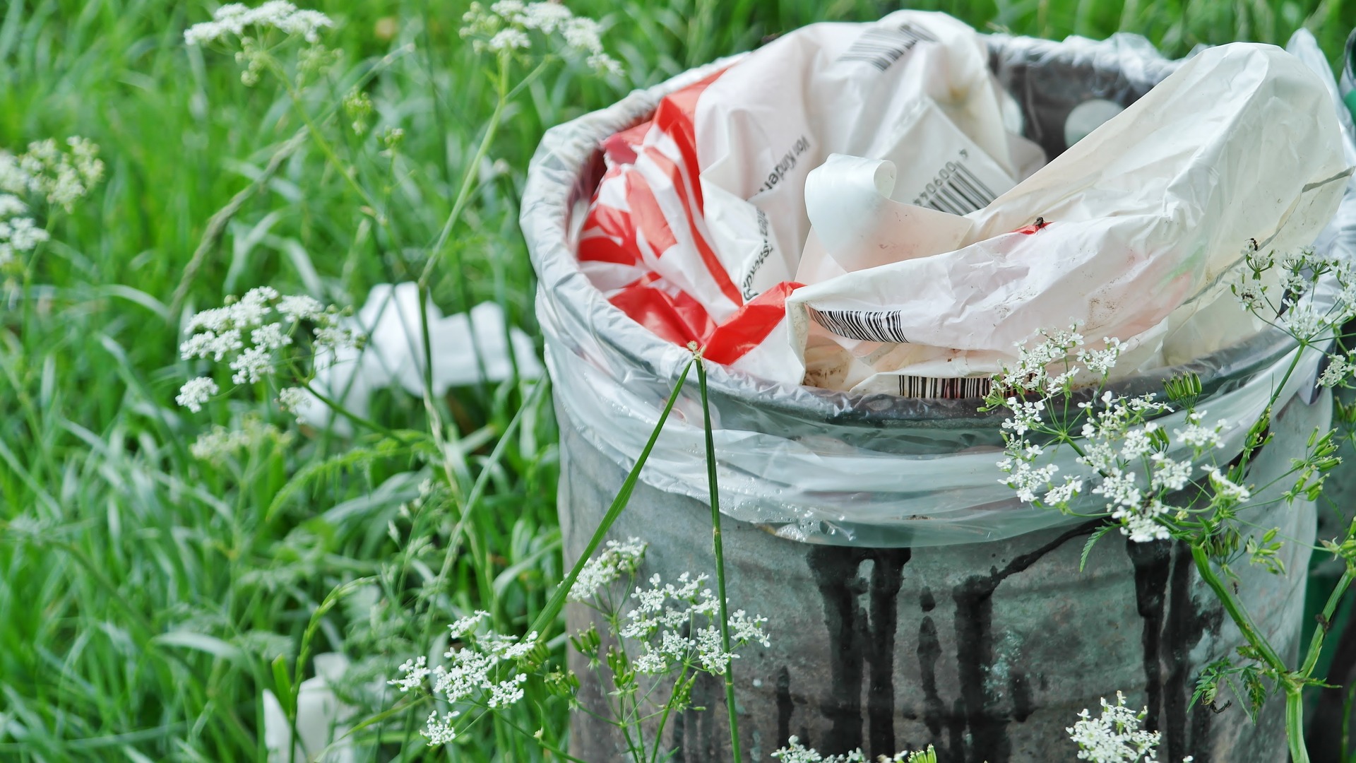 Ser_solidarios_no_es_cosa_de_un_día_basura