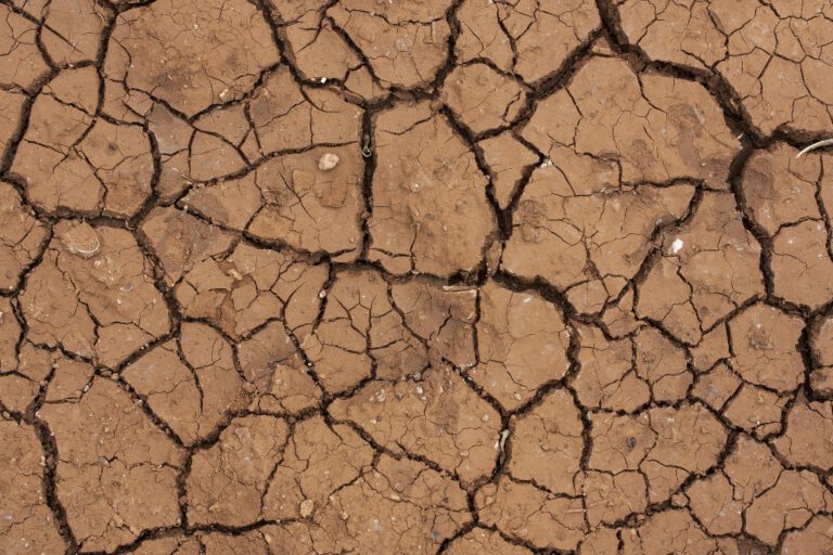 Ser_solidarios_no_es_cosa_de_un_día_tierra