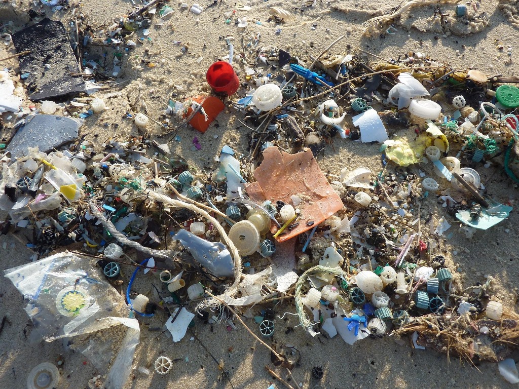 Me-ayudas-a-cuidar-los-oceanos-blog-basura
