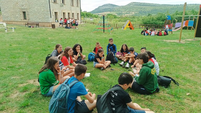 grupo de primaria dividido en círculos haciendo una dinámica sobre la hierba