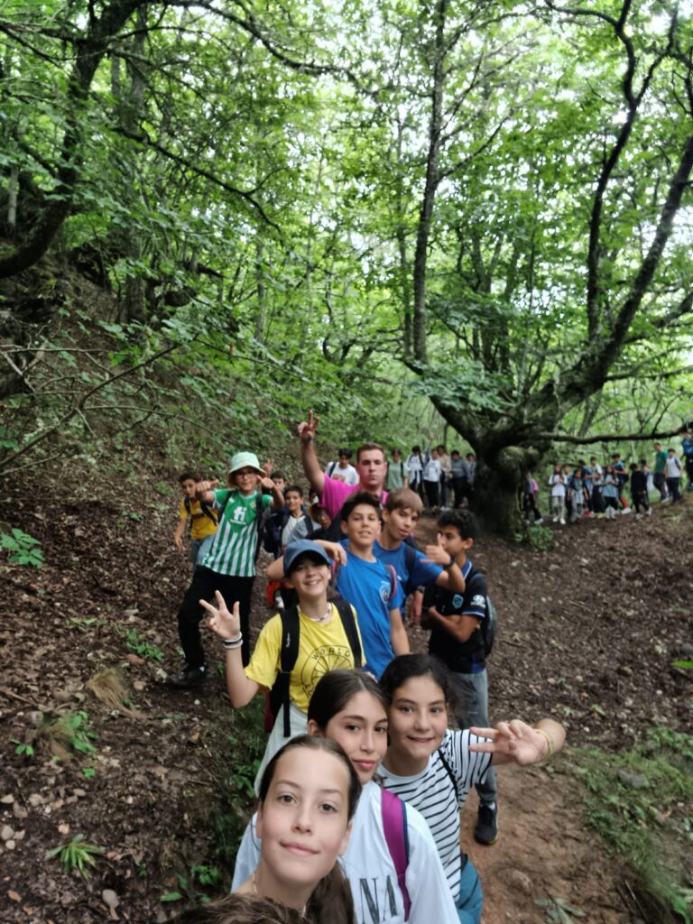 fila de grupo de primaria en un bosque